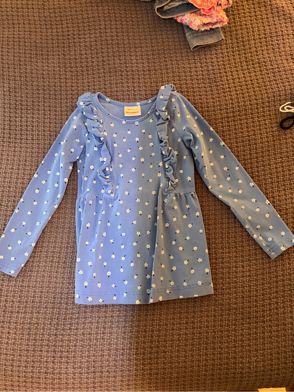 Hanna Andersson Light Blue Floral Ruffle Long-Sleeve Top